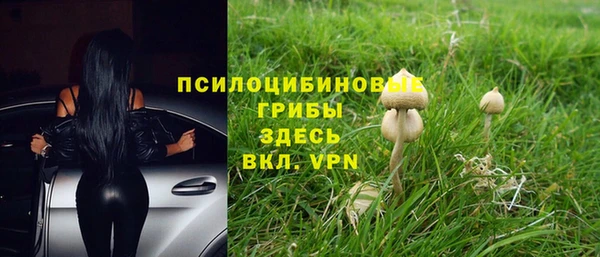 Альфа ПВП Алексин