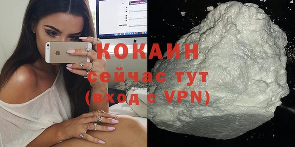 сатива Рославль