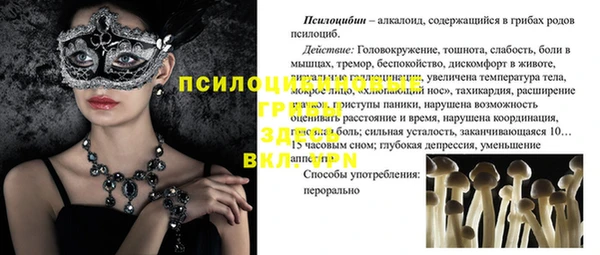 Альфа ПВП Алексин