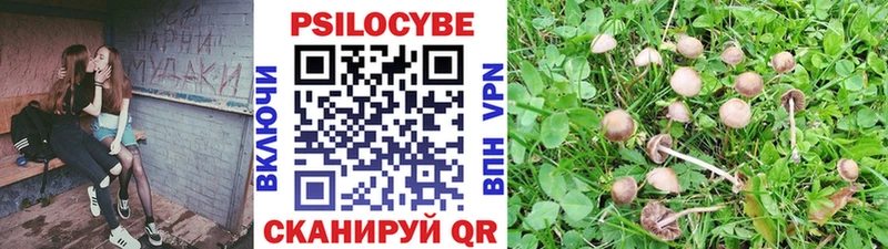Псилоцибиновые грибы мухоморы  наркошоп  Харовск 